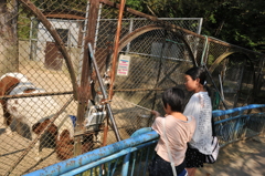 福知山　動物園　おいしいかい？