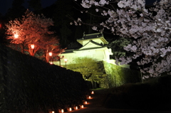 但馬國　出石藩　出石城夜桜