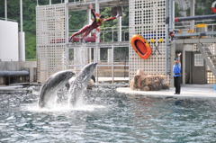 但馬國　山陰海岸　日和山マリンワールド