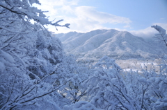 但馬國　円山川　冬　①