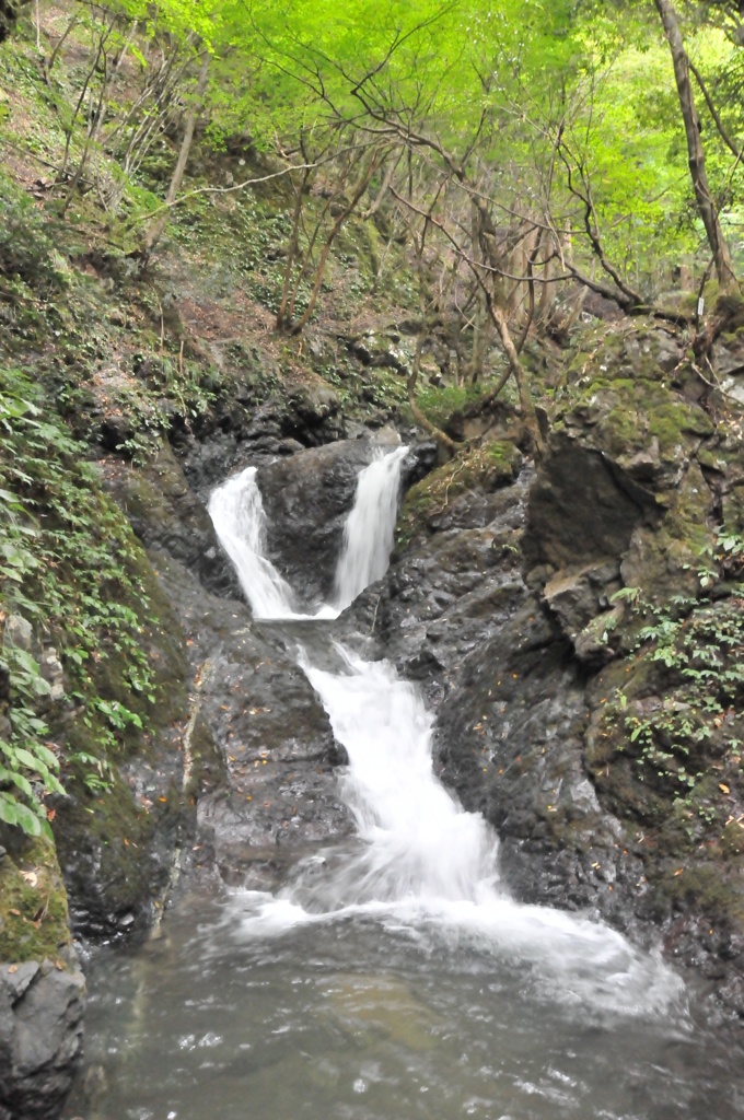但馬國　大屋　夫婦滝