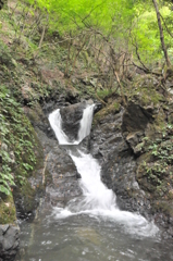 但馬國　大屋　夫婦滝