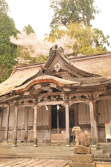 但馬國 八鹿小佐の郷 名草神社 桜③