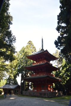 但馬國　小佐の郷　妙見山　名草神社　三重塔