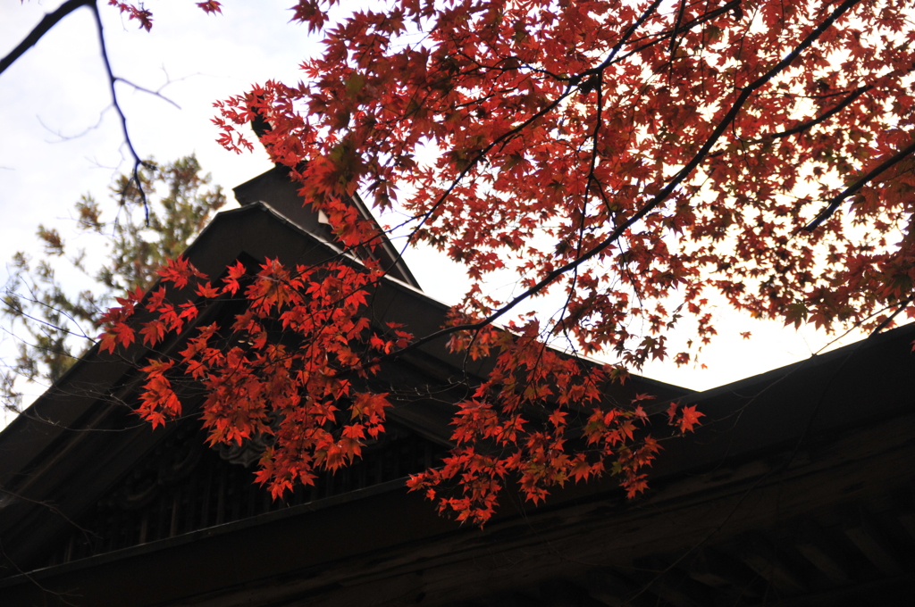 但馬國　養父神社　②