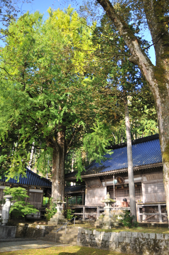但馬國　小佐の郷　日光院の朝
