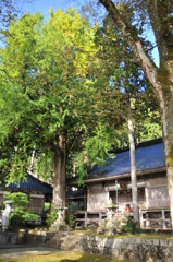 但馬國　小佐の郷　日光院の朝