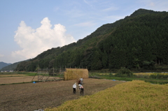 但馬國　秋の取り入れ