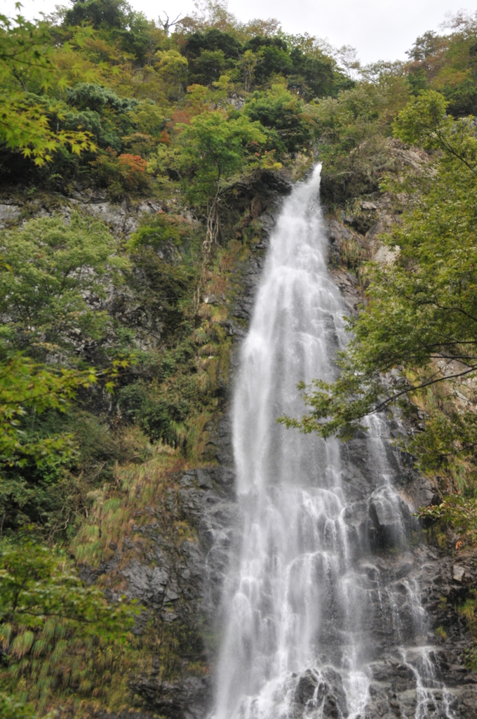但馬國　大屋　天滝　④