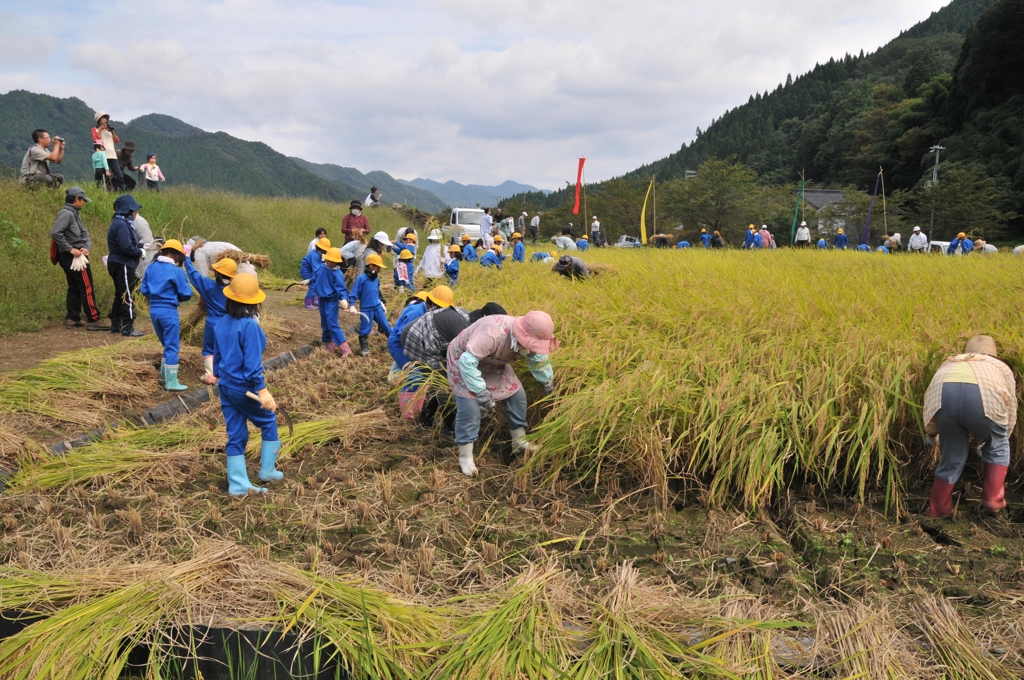 但馬國　小佐の郷　秋の収穫　③
