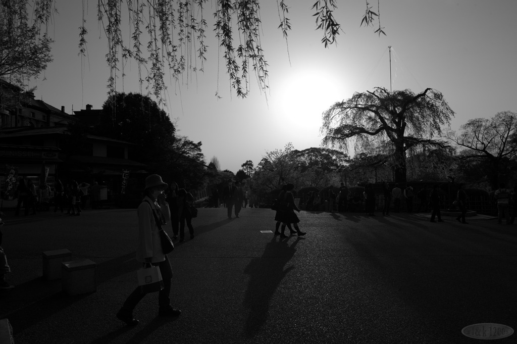 photo1133096