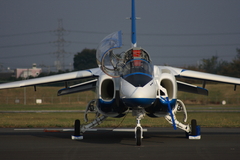 2007年入間基地航空祭でのBLUE IMPULSE