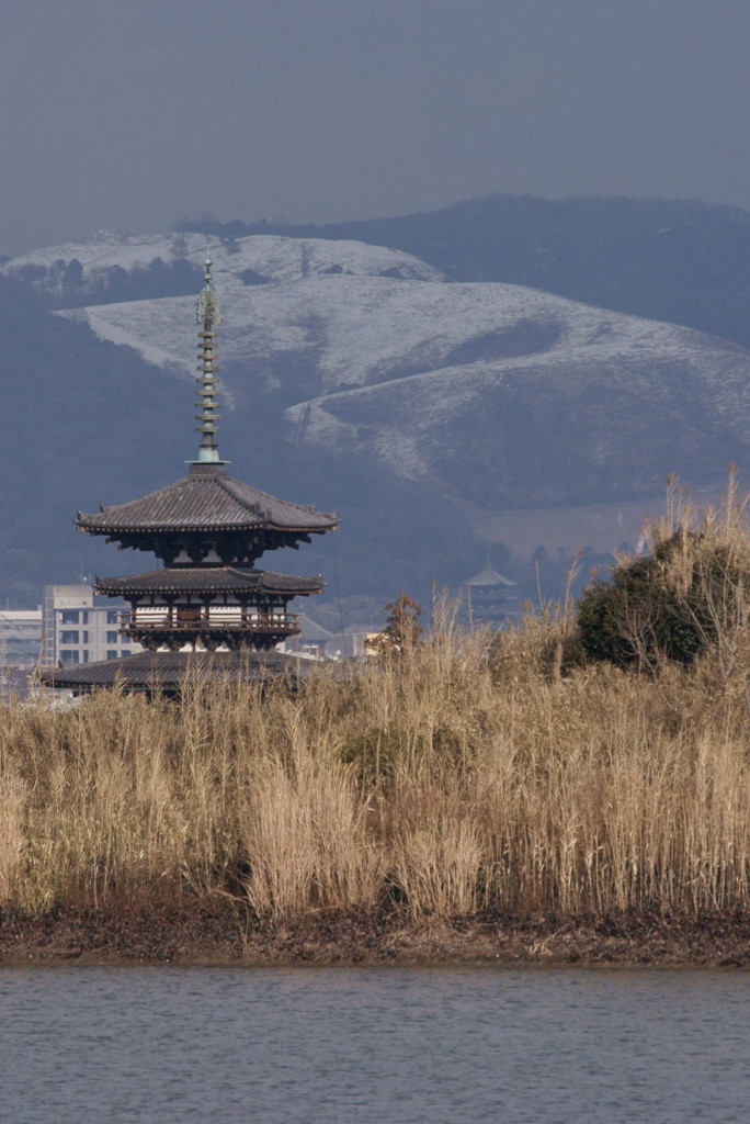 残雪