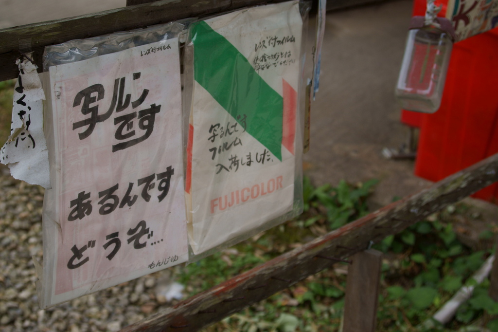 あるんです