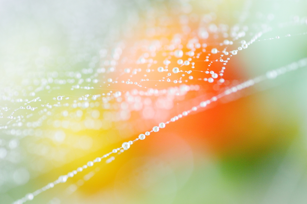 Summer Beads