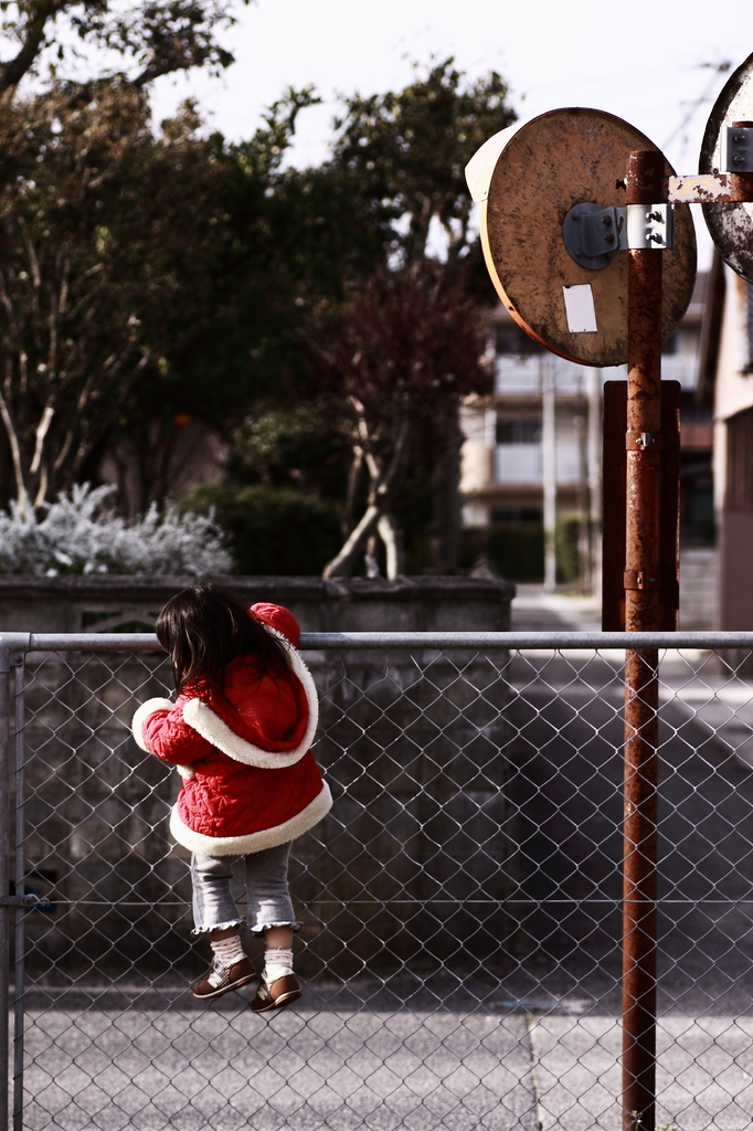 over the fence