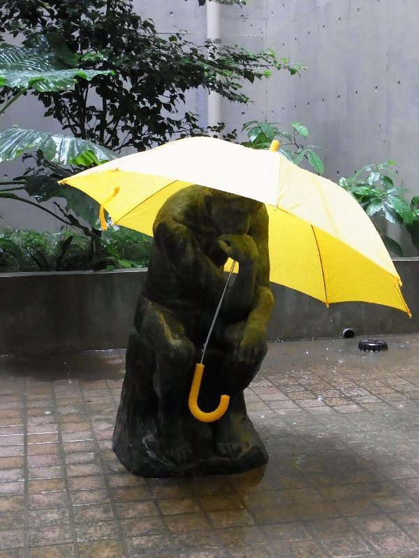 雨の日は物思い