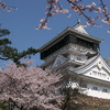 桜の小倉城