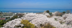 彦根城天守閣から琵琶湖を望む･･