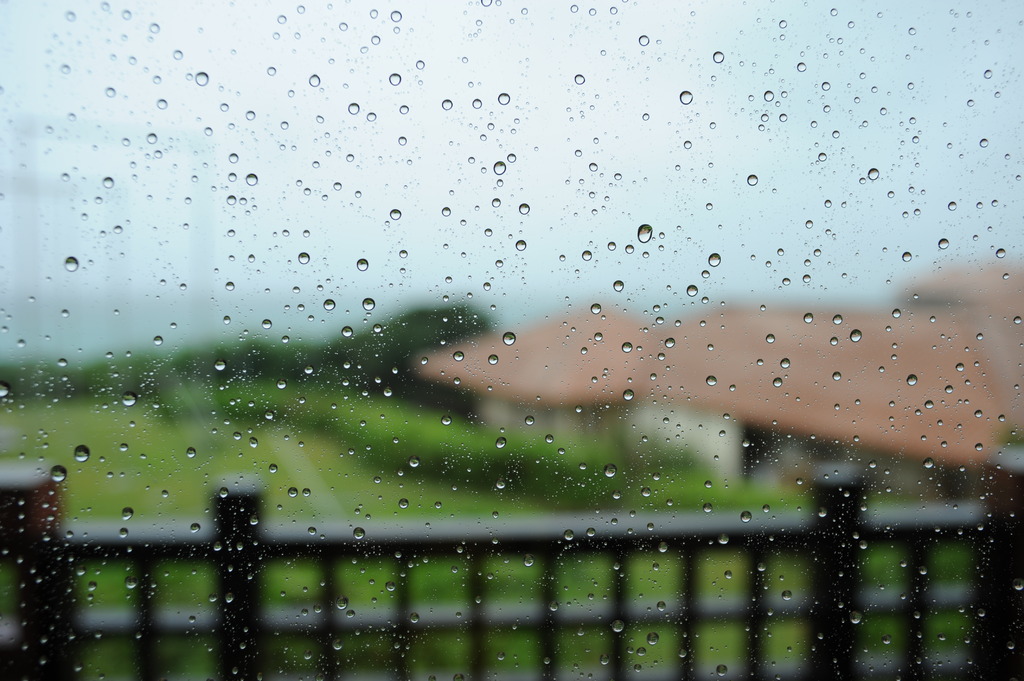 雨の日の過ごし方