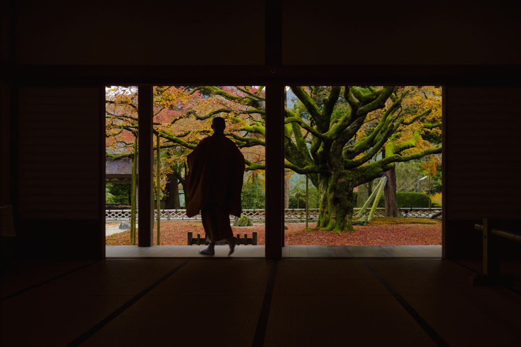 雷山千如寺大悲王院