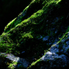 X-H2_photography