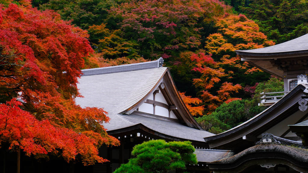 X-H2_Photography_雷山千如寺大悲王院