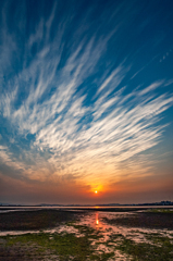 翼雲