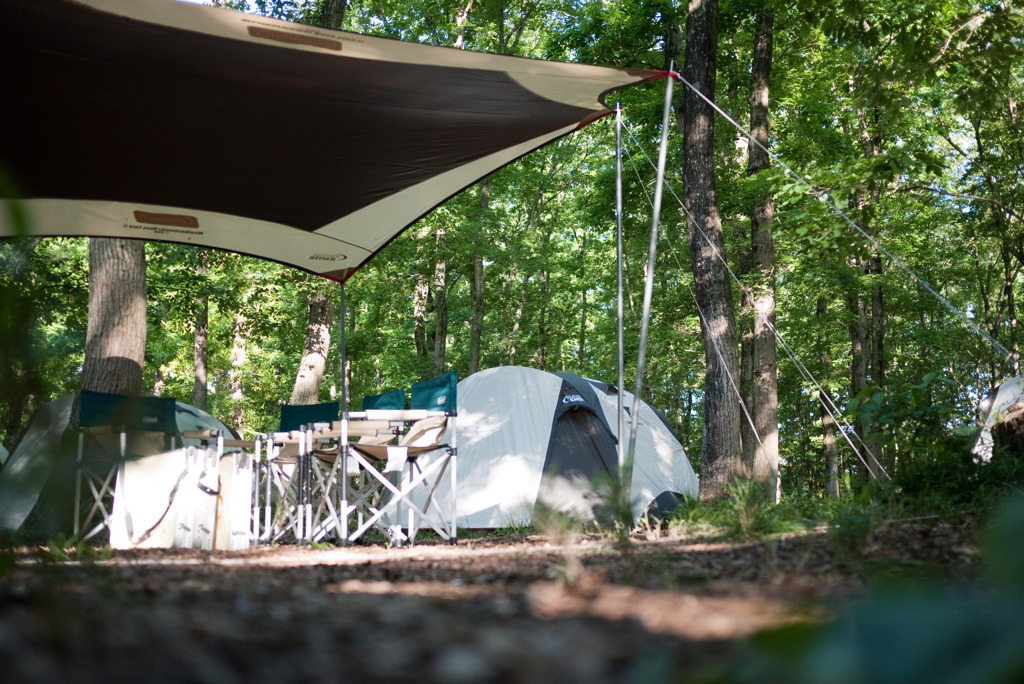 MASTER CAMP  GOOD MORNING!