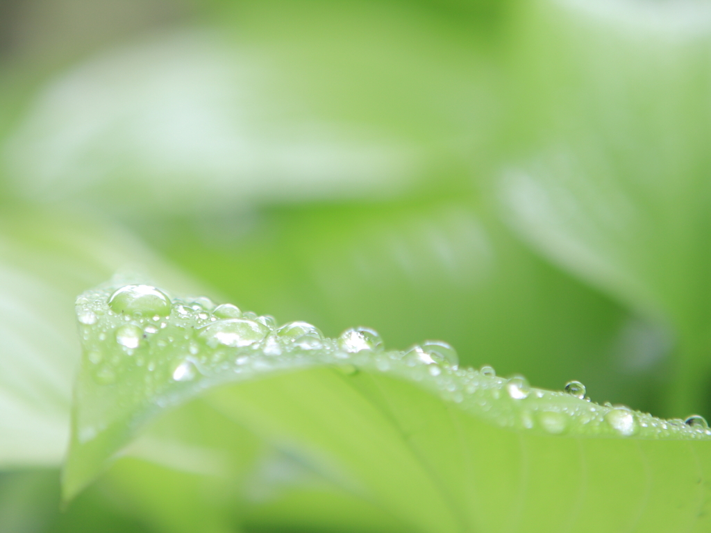 雨滴　水滴