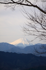 高尾からの富士山
