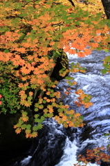 秋の流れ