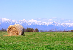 ある晴れた日の風景