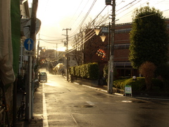 雨上がり