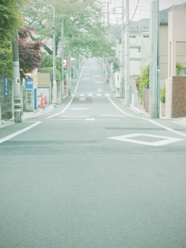 朝