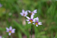 IMGP4168