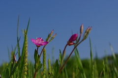 IMGP3653a