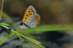IMGP3297