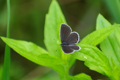 IMGP4446