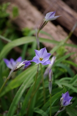 IMGP1249