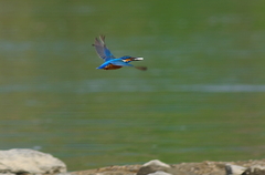 IMGP1043a