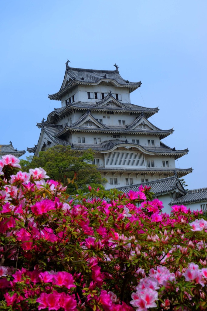 姫路城　with　つつじ