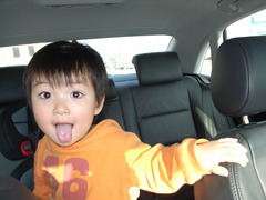 僕のアンシュタイン