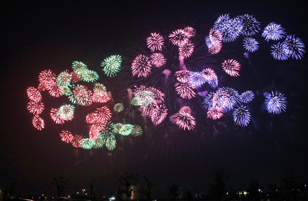 夜空の蝶　（長岡花火）