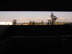 リビングから見た風景