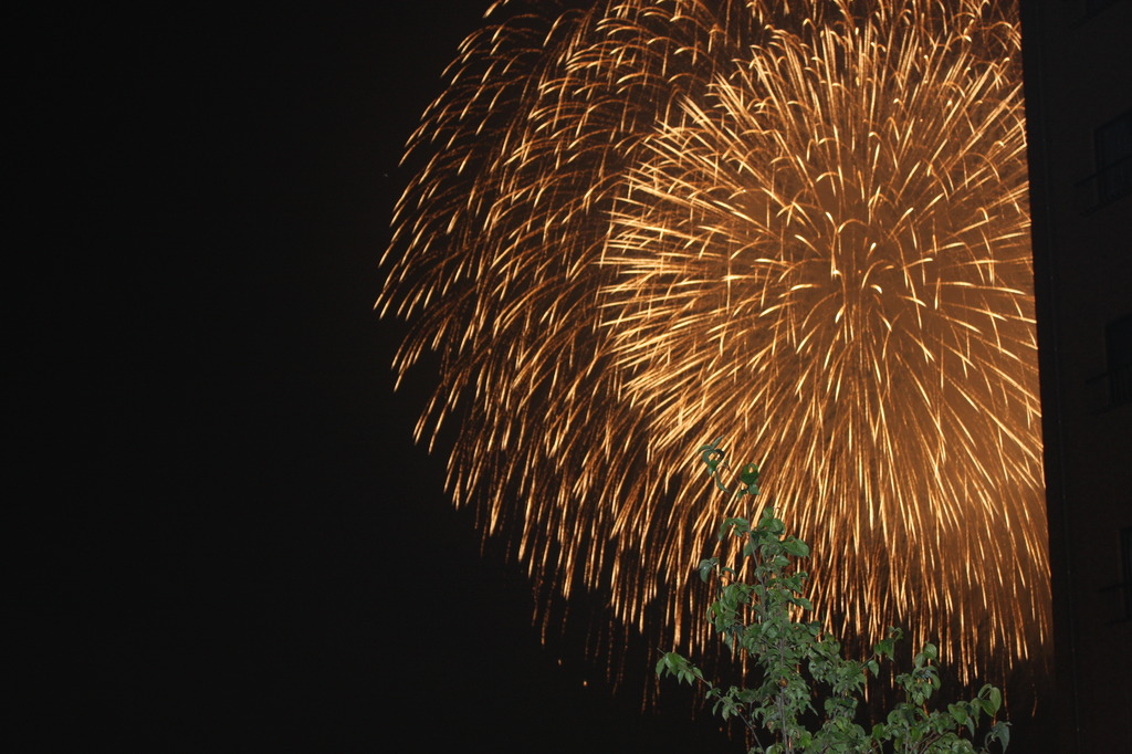 リビングから見た花火
