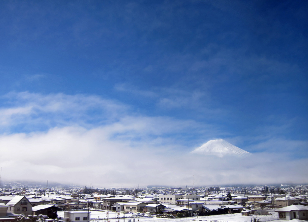 WHITE　＆　BLUE