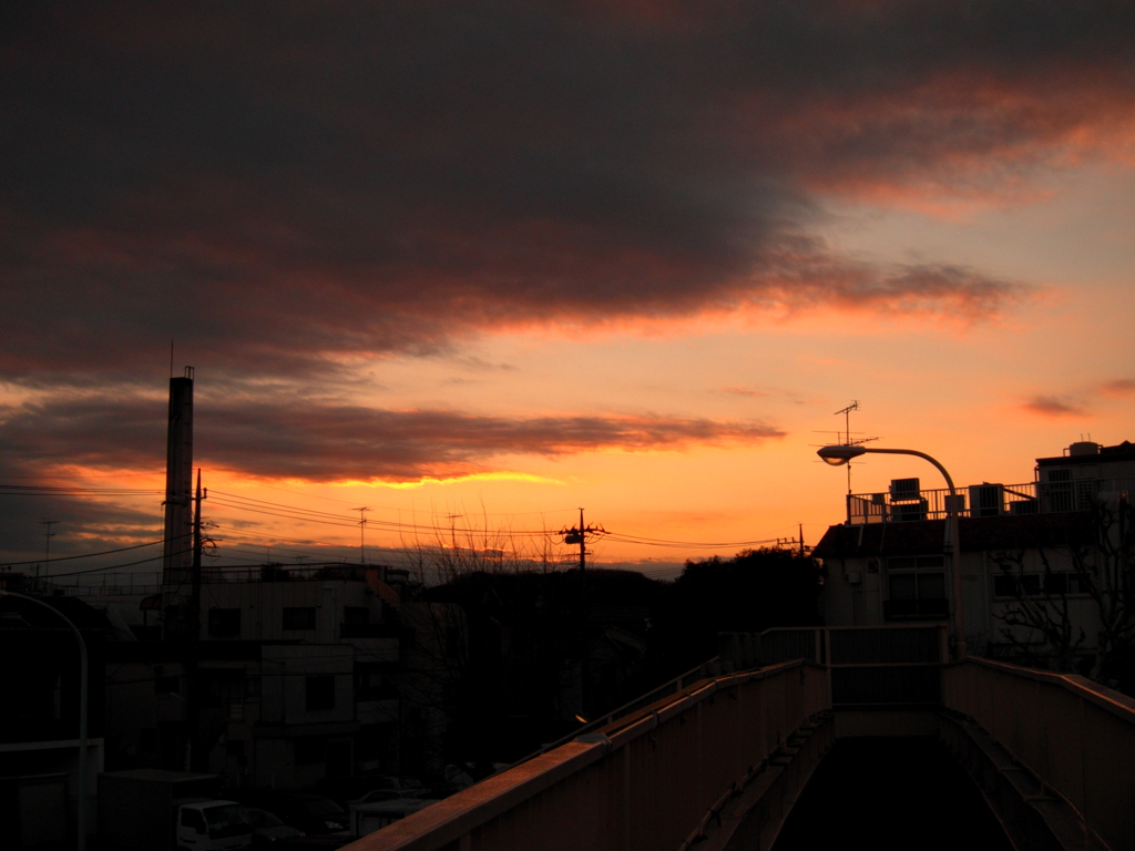 陸橋の上から