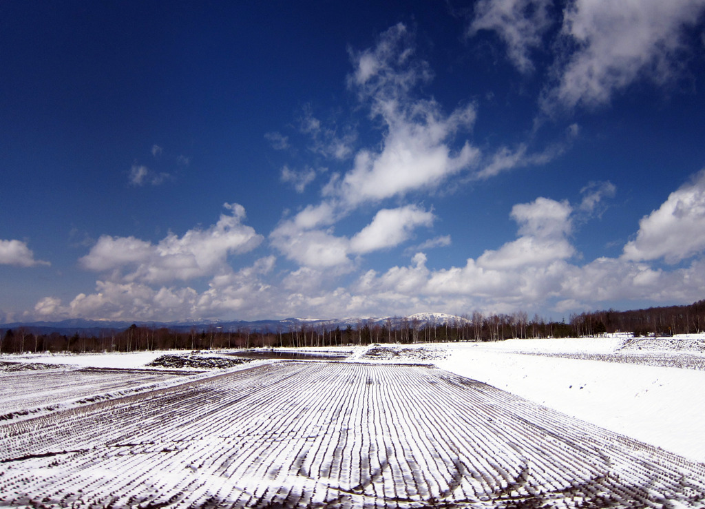 ４月の雪景色