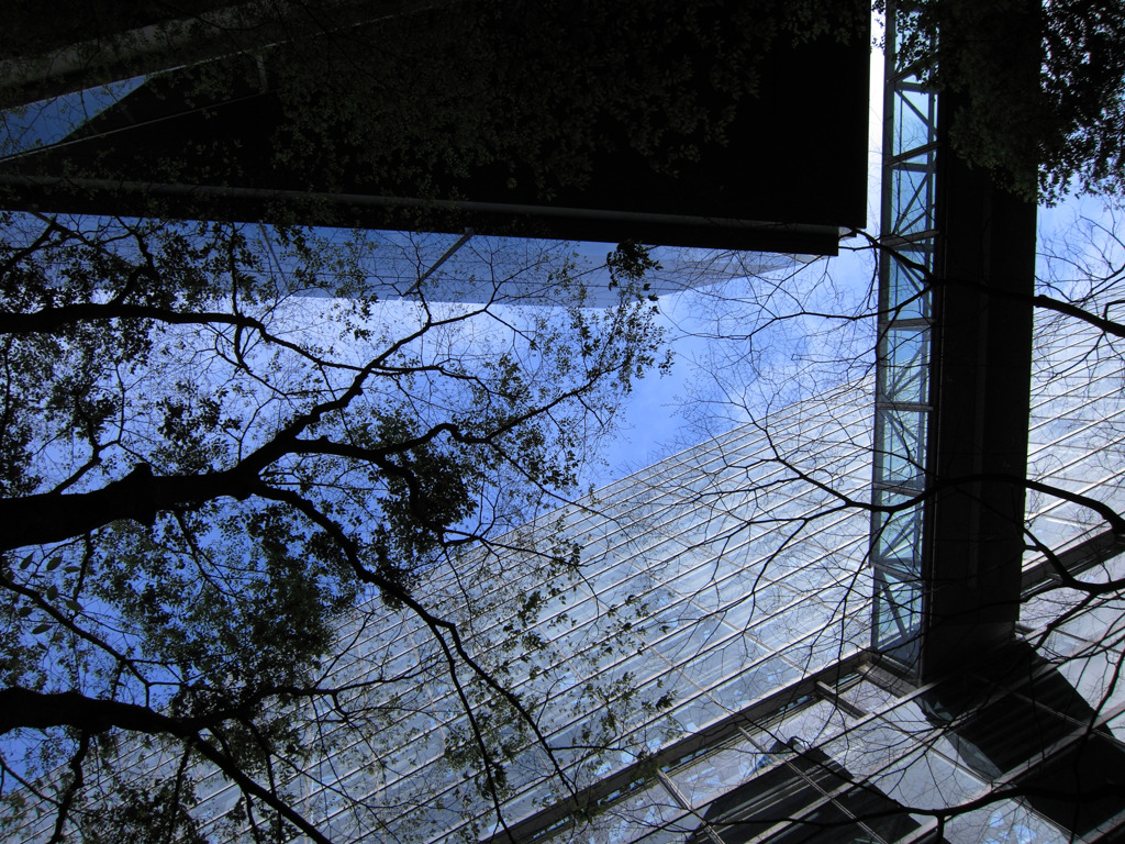 LOOK UP !!